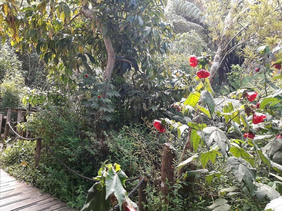 Buena Vista Apartment Marahau Bagian luar foto